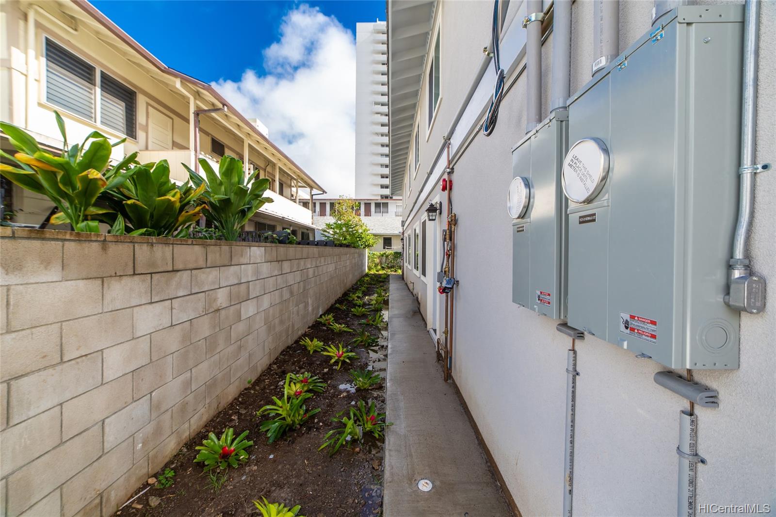 1531 Kewalo Street #D, Honolulu, HI 96822