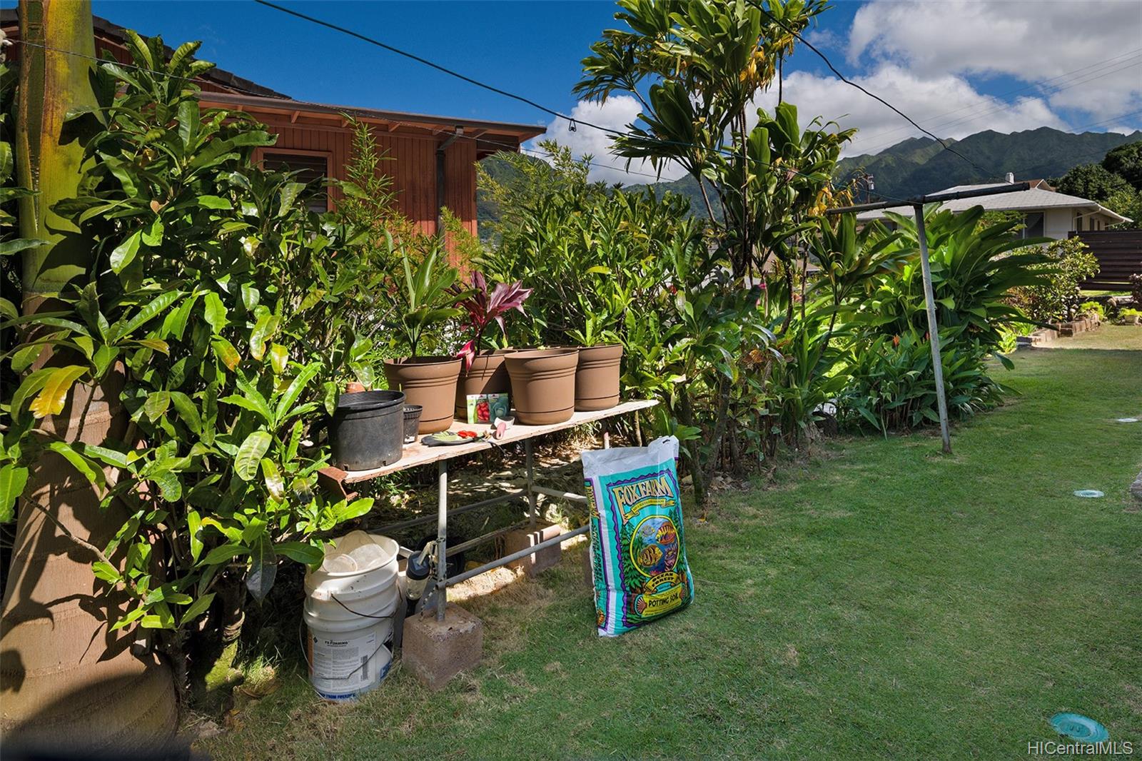 3124 Lanikaula Street Honolulu, HI 96822