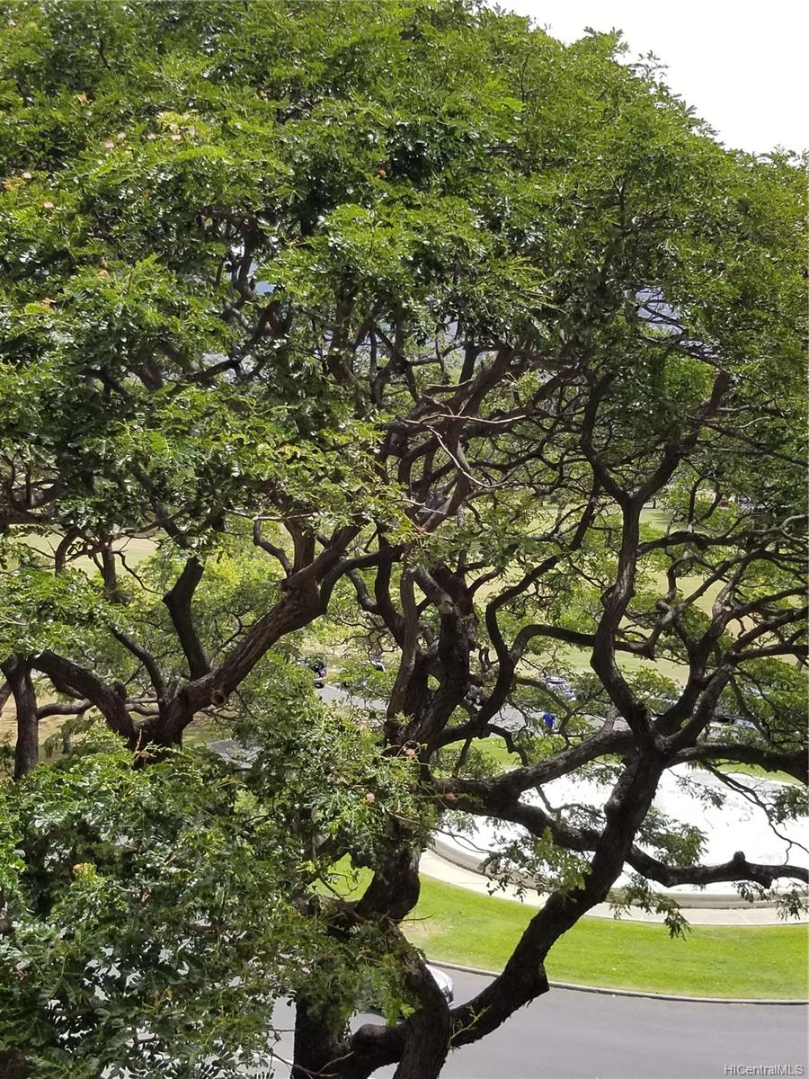 2947 Kalakaua Avenue #703, Honolulu, HI 96815