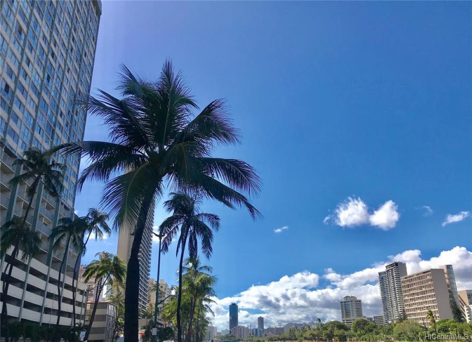 2211 Ala Wai Boulevard #1711, Honolulu, HI 96815