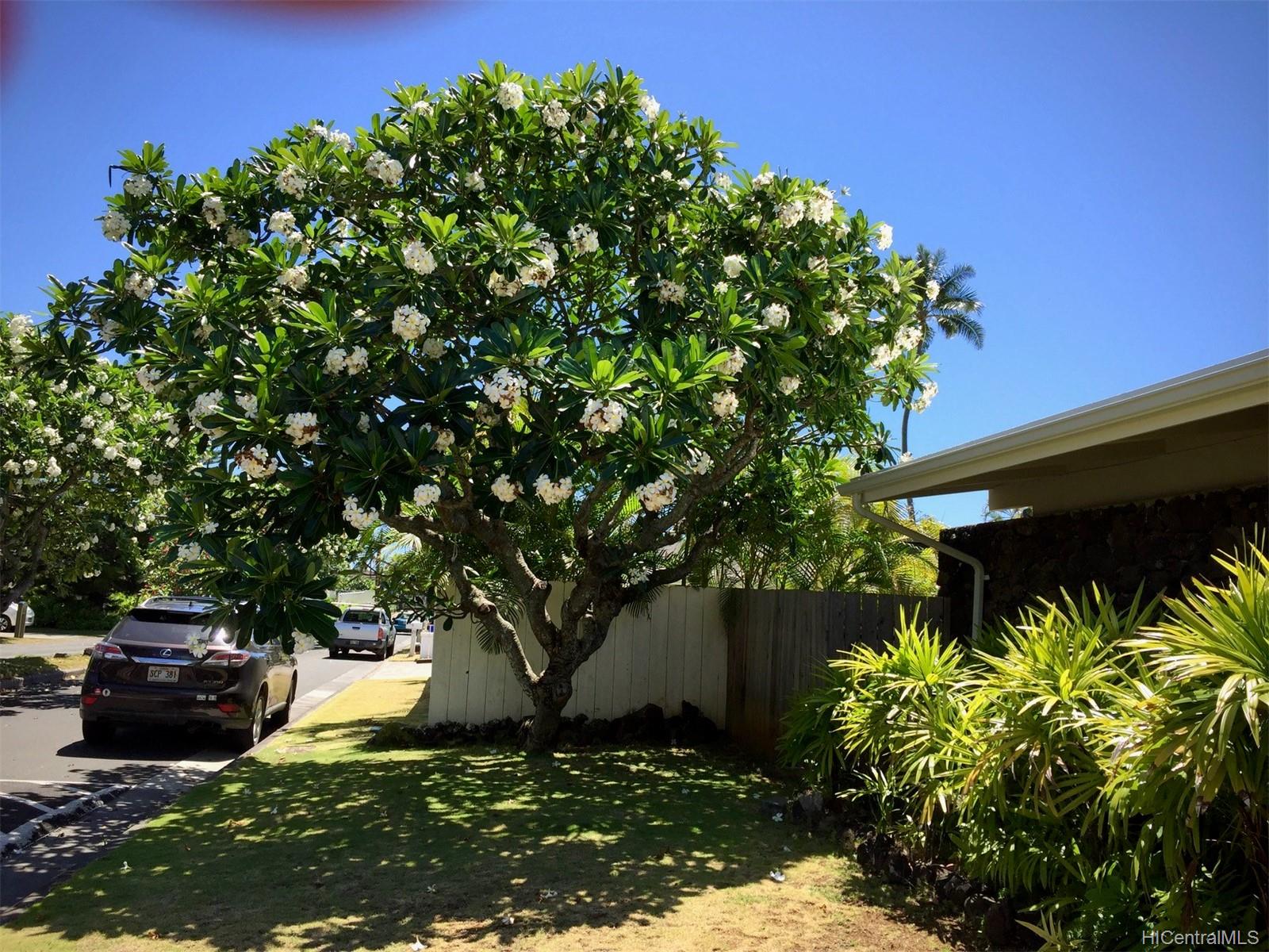 85 Mahiloa Place Kailua, HI 96734