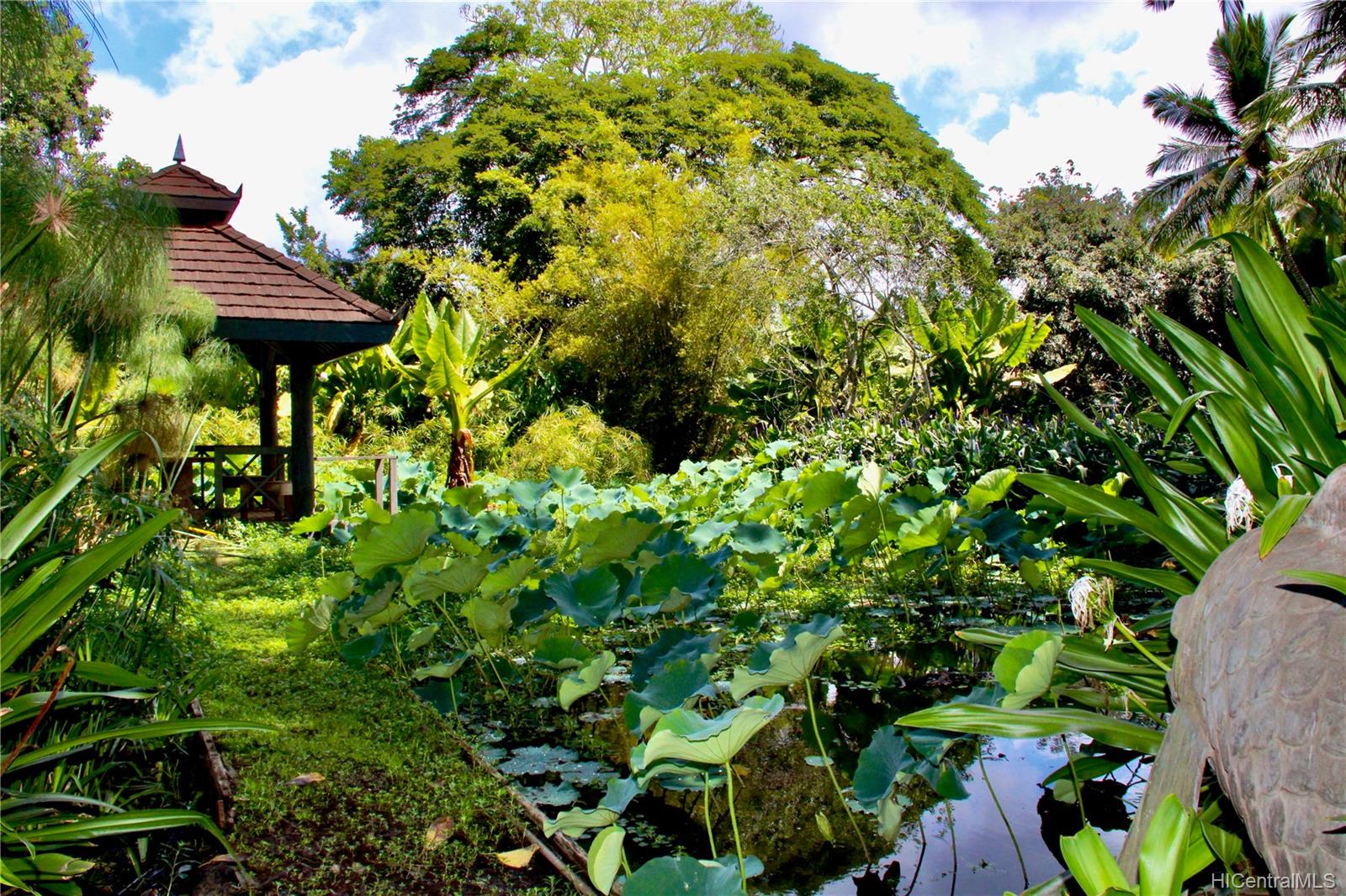 66-086 Haleiwa Road Haleiwa, HI 96712