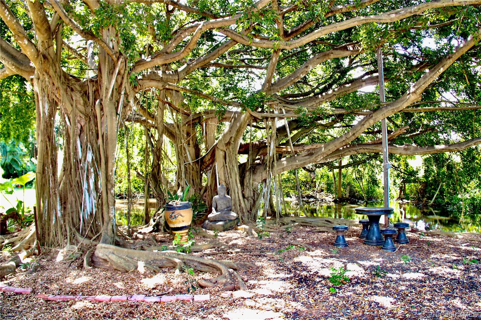 66-086 Haleiwa Road Haleiwa, HI 96712