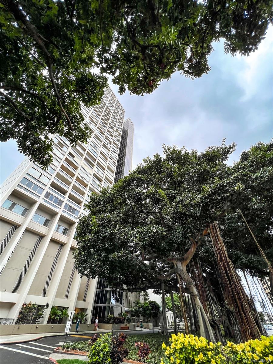 1212 punahou Street #3204, Honolulu, HI 96826