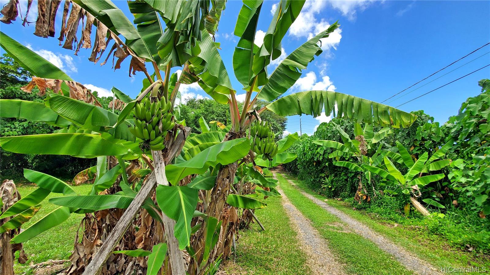 47-578 Ahilama Road Kaneohe, HI 96744