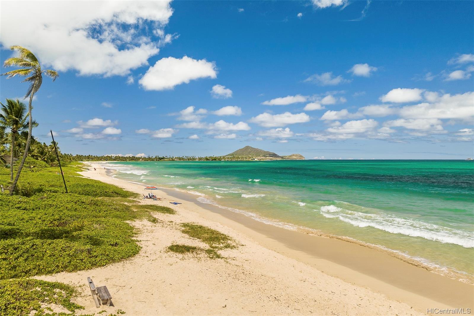 562 Kalaheo Avenue #E, Kailua, HI 96734