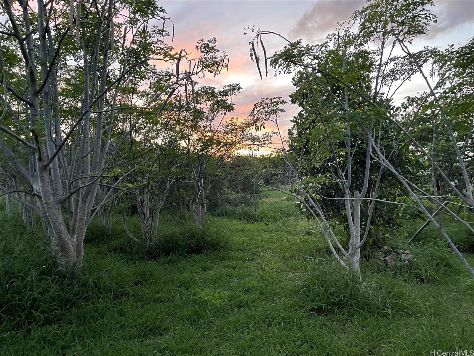 84-410 Makaha Valley Road Waianae, HI 96792