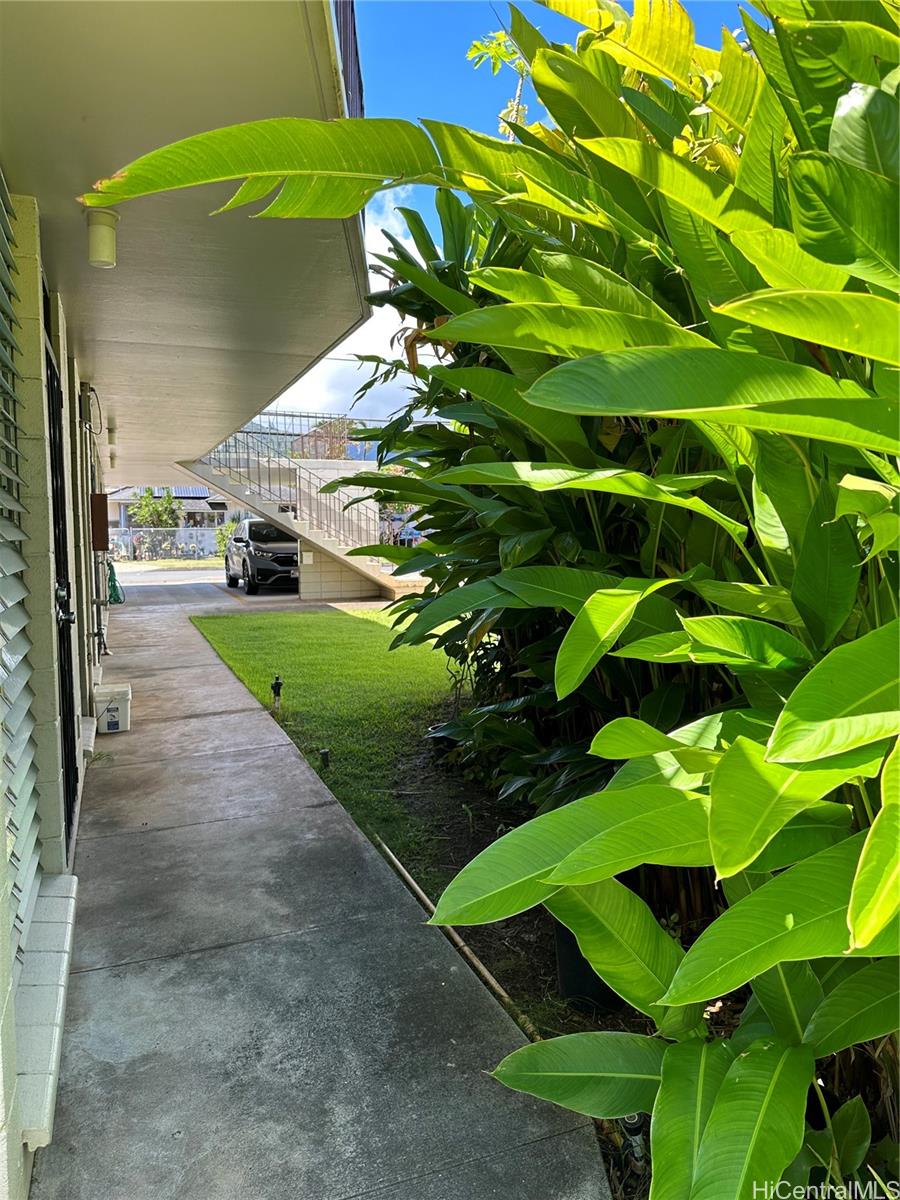 1749 Fern Street Honolulu, HI 96826