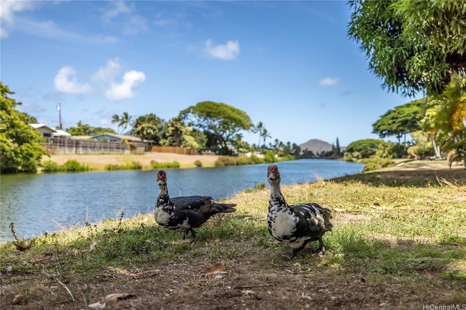 1251 Kainui Drive Kailua, HI 96734